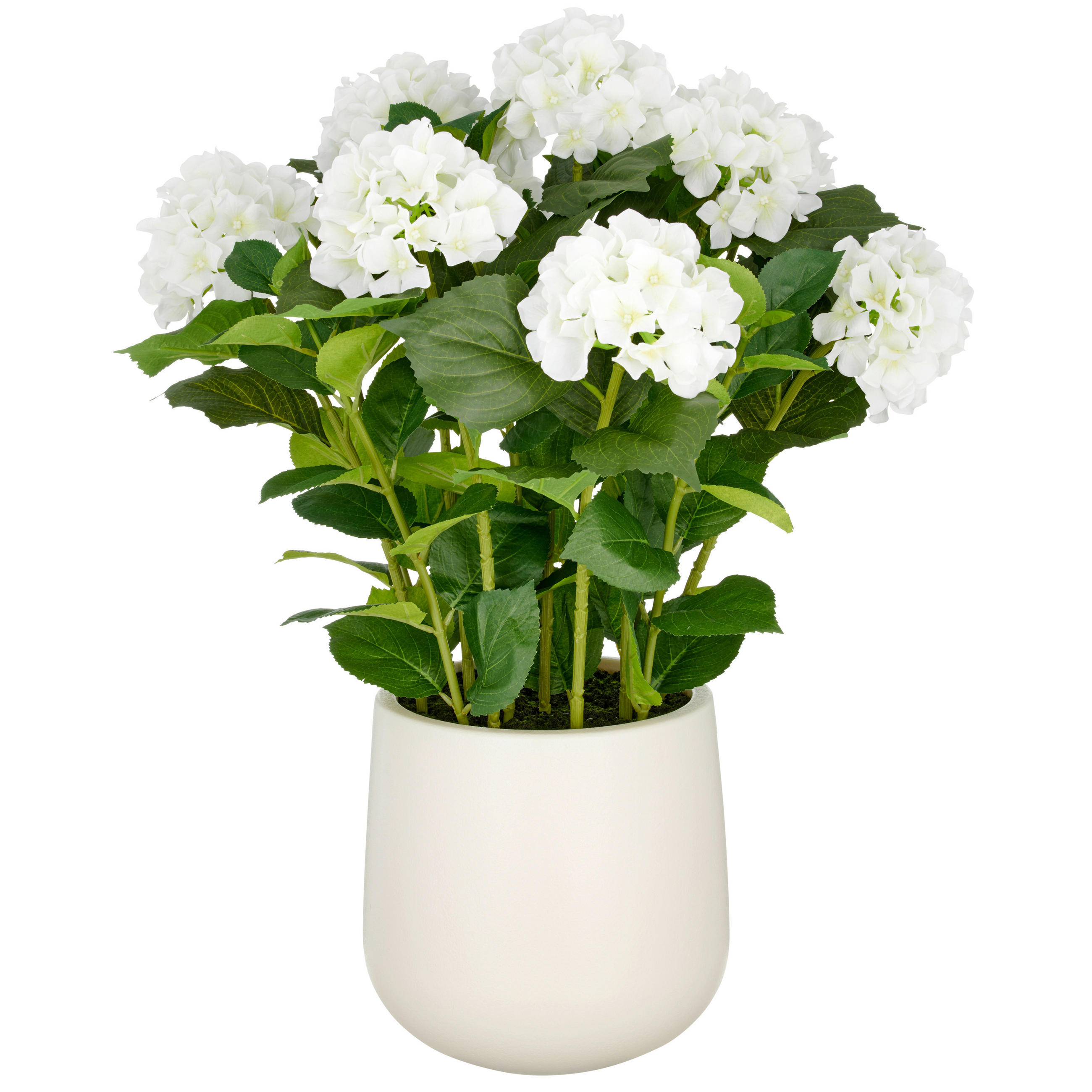 KUNSTPFLANZE Hortensie  - Creme/Weiß, Basics, Kunststoff (25/75/25cm)
