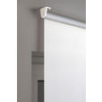 ROLLO 100/160 cm  - Weiß, Design, Kunststoff (100/160cm) - Boxxx