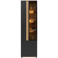 VITRINE Anthrazit  60,6/213,1/42 cm  - Anthrazit, Design, Glas/Holz (60,6/213,1/42cm) - Dieter Knoll