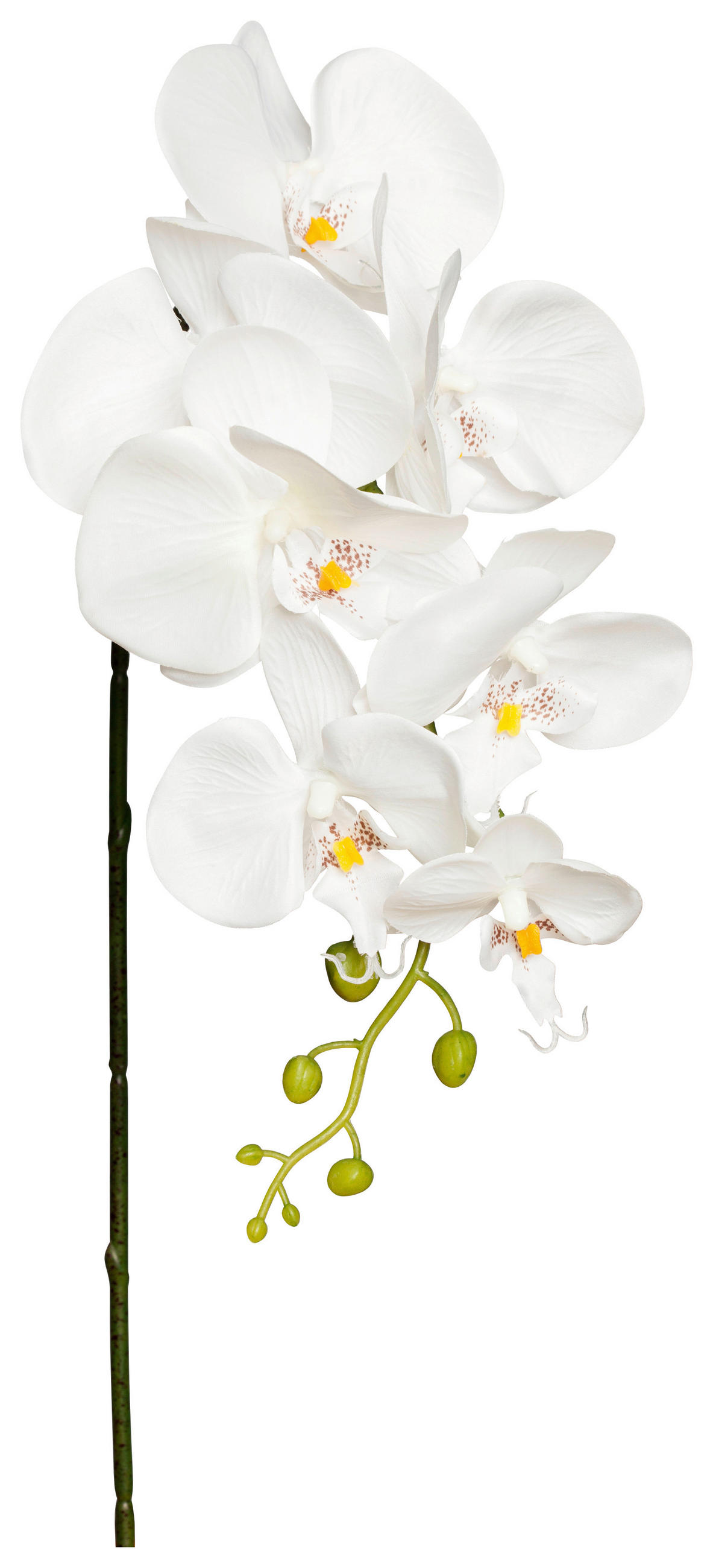 Kunstpflanze Orchidee Weiß L: 86 Cm, Ria