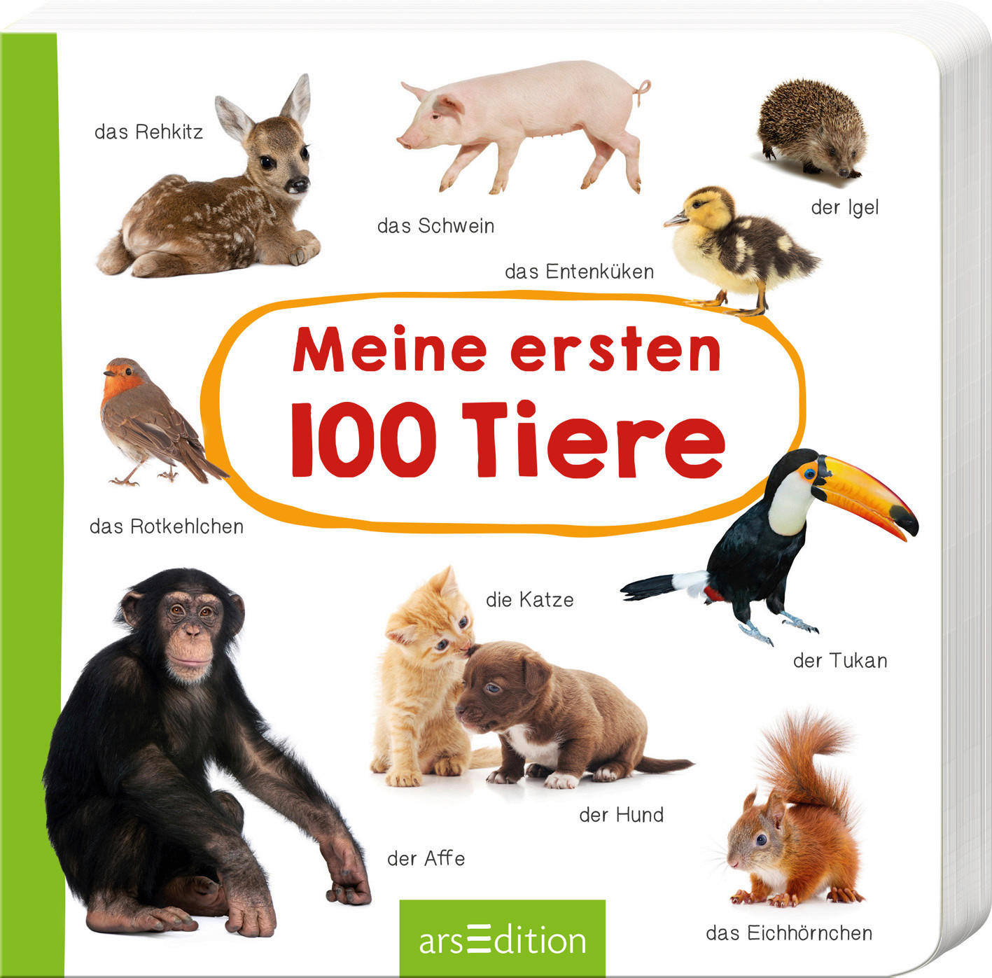 BILDERBUCH - Multicolor, Basics, Karton (16/16cm)
