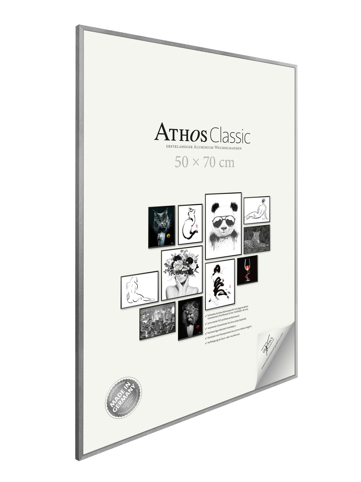 BILDERRAHMEN - Silberfarben, Basics, Papier/Holzwerkstoff (50/70/1,8cm)