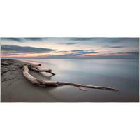 KUNSTDRUCK Landschaft & Natur 150/70 cm  - Silberfarben/Multicolor, Natur, Holz/Kunststoff (150/70cm) - Monee