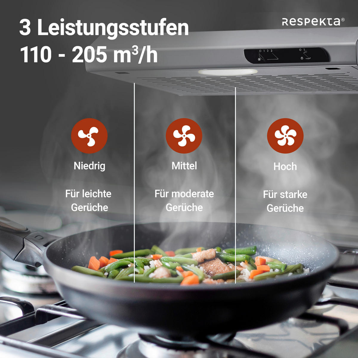 DUNSTABZUGSHAUBE DH540IXL  - Edelstahlfarben, Trend, Metall (50/7,6/47cm) - Respekta