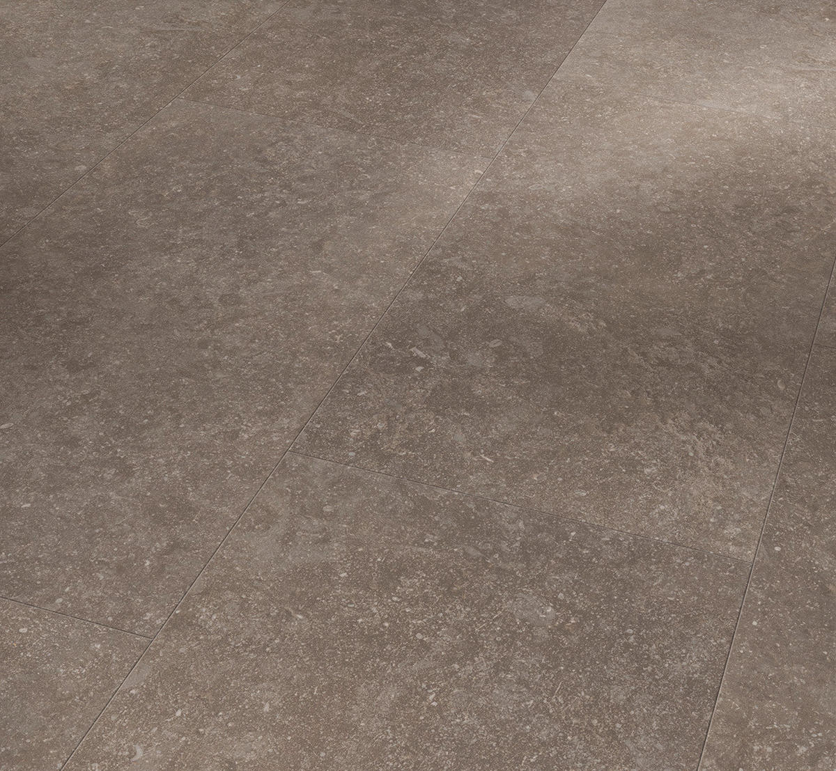 LAMINATBODEN Laminat Trendtime 5  per  m² - Basics, Holzwerkstoff (85.3/40/0.8cm) - Parador