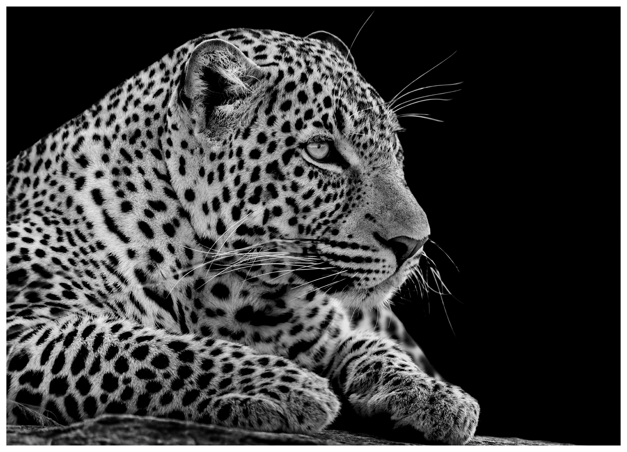 KUNSTDRUCK 70/50 cm  - Multicolor, LIFESTYLE, Holzwerkstoff/Textil (70/50cm) - Monee