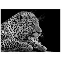 KUNSTDRUCK 70/50 cm  - Multicolor, LIFESTYLE, Holzwerkstoff/Textil (70/50cm) - Monee