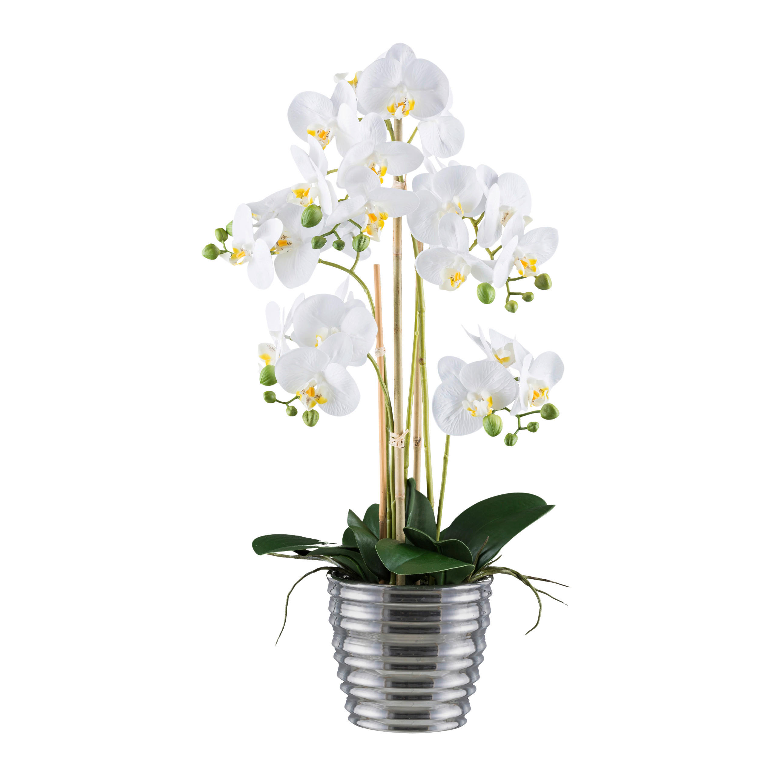 KUNSTPFLANZE Orchidee 62 cm  - Silberfarben/Weiß, Design, Keramik/Kunststoff (62cm) - P & B