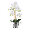 KUNSTPFLANZE Orchidee 62 cm  - Silberfarben/Weiß, Design, Keramik/Kunststoff (62cm) - P & B