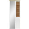 GARDEROBENSCHRANK Bari  in 78/202/38 cm  - Silberfarben/Schwarz, Design, Glas/Holzwerkstoff (78/202/38cm) - Xora