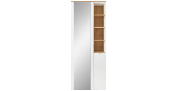 GARDEROBENSCHRANK 78/202/38 cm  - Silberfarben/Schwarz, Design, Glas/Holzwerkstoff (78/202/38cm) - Xora