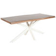 TISCHPLATTE in Holz 240/100/5,5 cm   - Akaziefarben, Design, Holz (240/100/5,5cm) - Landscape