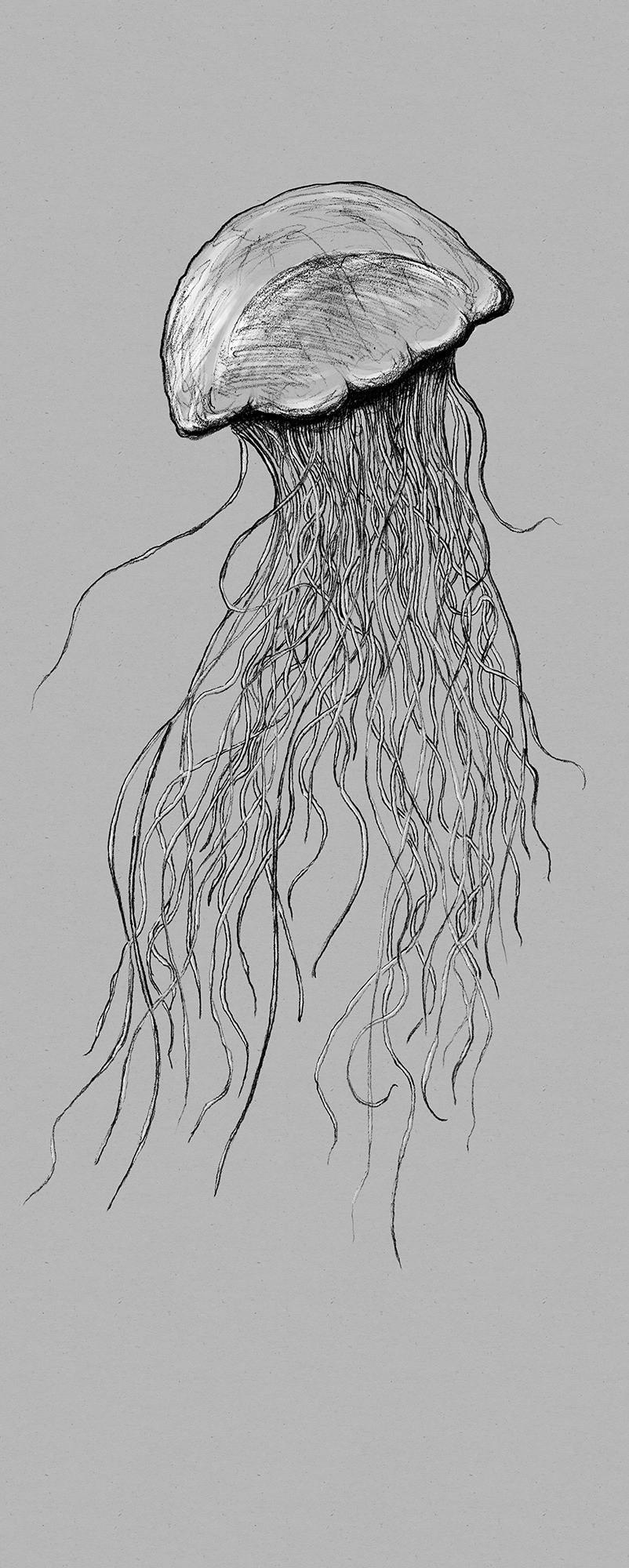 Xora Vliestapete Grau 100x250 cm