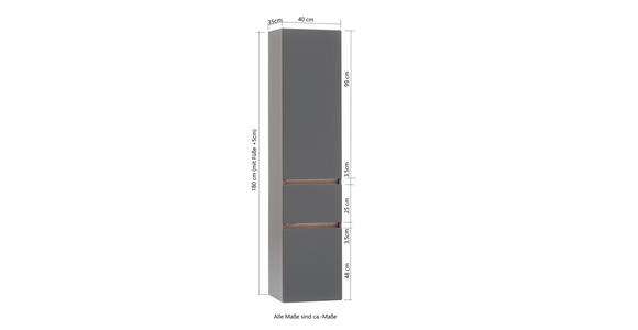 HOCHSCHRANK 40/180/35 cm  - Silberfarben/Graphitfarben, Natur, Holzwerkstoff (40/180/35cm) - Xora