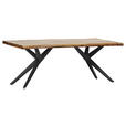 TISCHPLATTE      - Naturfarben, Design, Holz (200/100/5cm) - Landscape