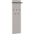 GARDEROBENPANEEL  in 46/160/18 cm  - Kaschmir/Schwarz, Design, Holzwerkstoff/Metall (46/160/18cm) - Voleo