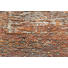 VLIESTAPETE - Multicolor, Papier (368/248/cmcm) VLIESTAPETE - Multicolor, Papier (368/248/cmcm)
