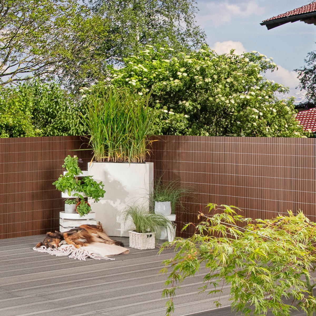 CLONA NA PLOT 300/90 cm  - hnědá, Basics, plast (300/90cm)