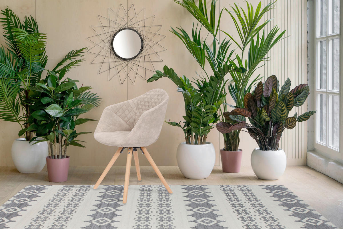 STUHL-SET 2 Stück  in Holz, Kunststoff  - Creme/Weiß, MODERN, Holz/Kunststoff (59/82/55cm) - Kayoom