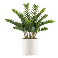 KUNSTPFLANZE 85 cm  - Creme/Braun, Design, Kunststoff (85cm) - P & B