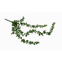 SUKKULENTE 56 cm  - Grün, Basics (56cm)