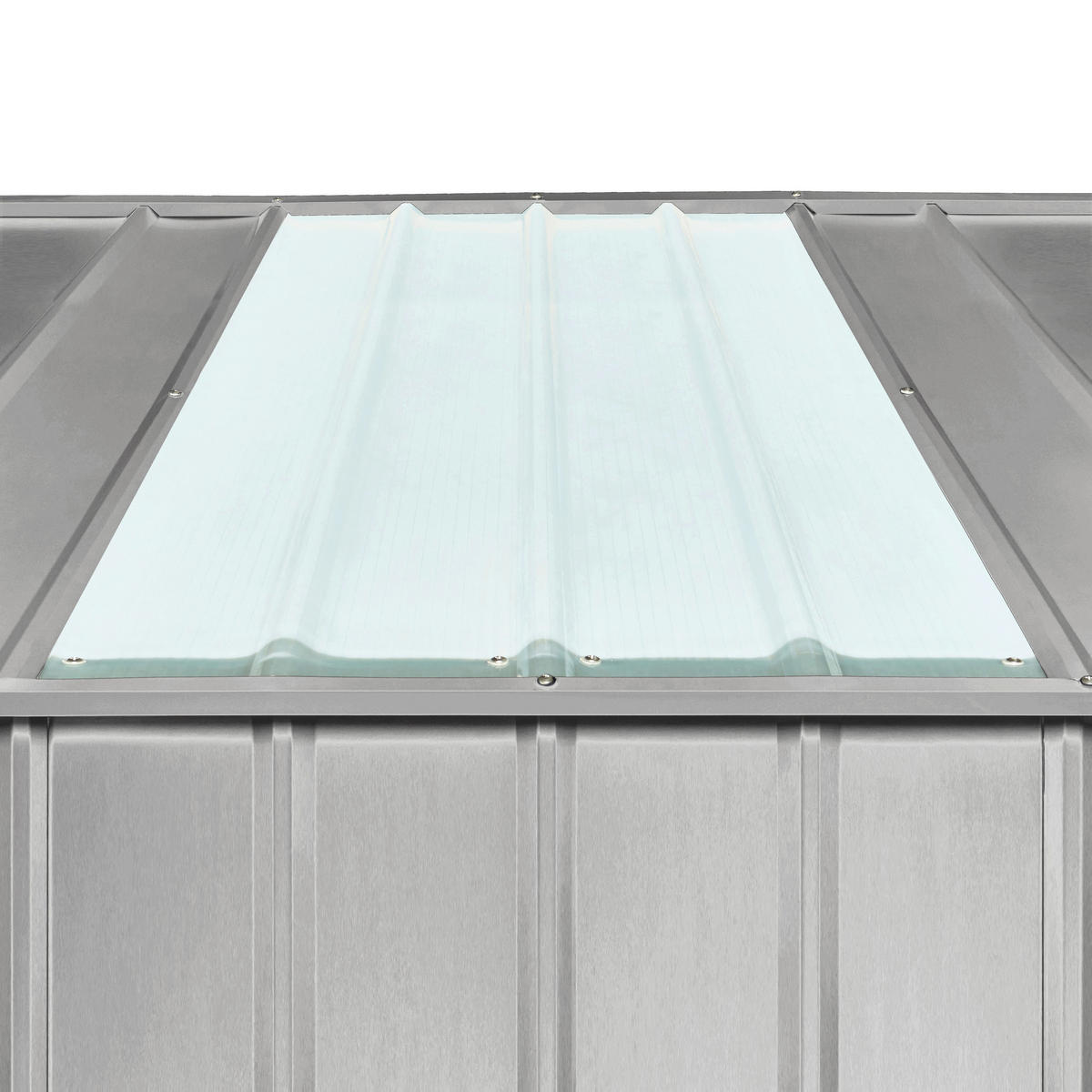 FENSTERLICHTPANEEL  - Transparent, Basics, Kunststoff (65,5/123cm)
