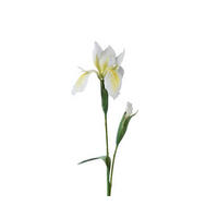 FLOARE DECORATIVĂ - Basics (10/10/78cm)