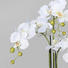 KUNSTBLUME Orchidee - Weiß/Grün, Basics, Kunststoff (110cm) KUNSTBLUME Orchidee - Weiß/Grün, Basics, Kunststoff (110cm)