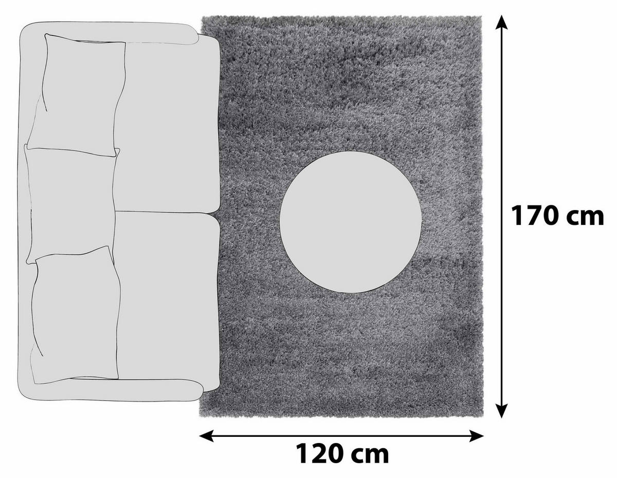 KOBEREC S VYSOKÝM VLASOM, 120/170 cm, svetlosivá - svetlosivá, Basics, textil (120/170cm) - Novel