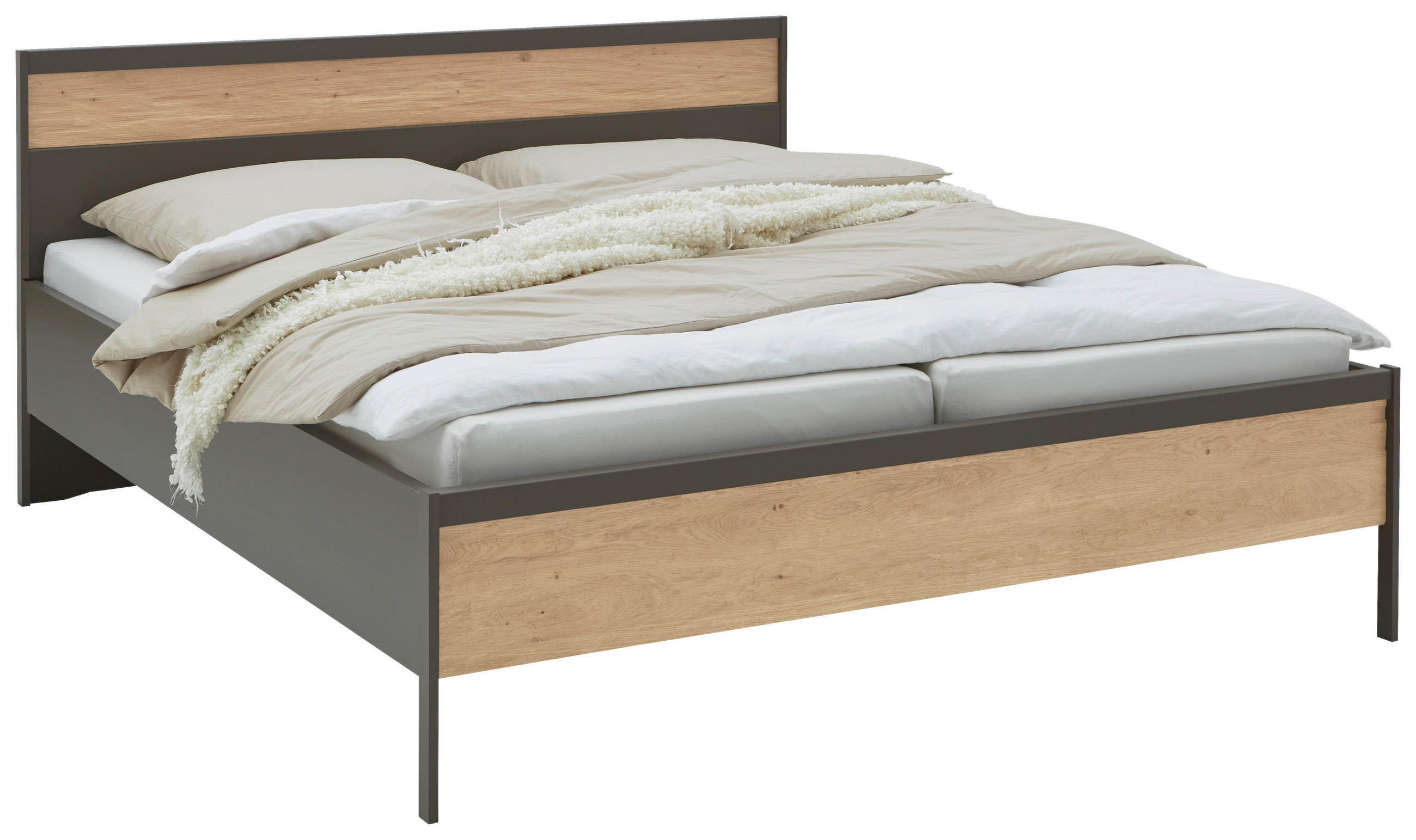 Dieter Knoll Bett Anthrazit, Eiche 160x200 cm