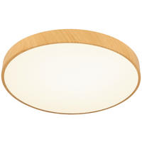 LED-DECKENLEUCHTE - Naturfarben/Weiß, Trend, Kunststoff/Metall (50/13cm) - Novel