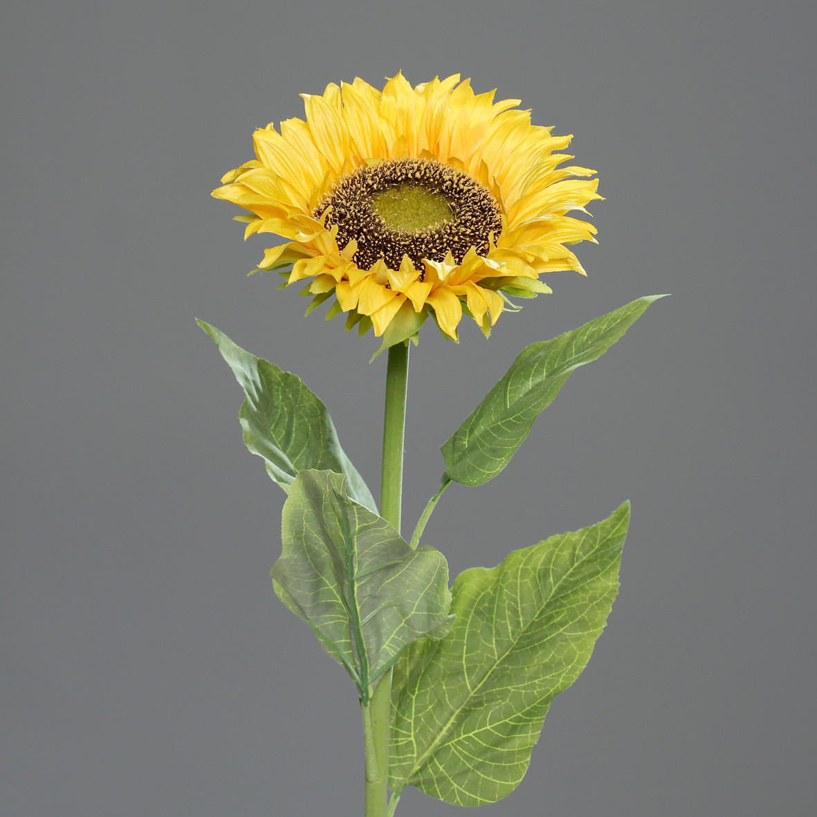 SONNENBLUME - Gelb/Grün, Basics, Kunststoff/Textil (78cm)