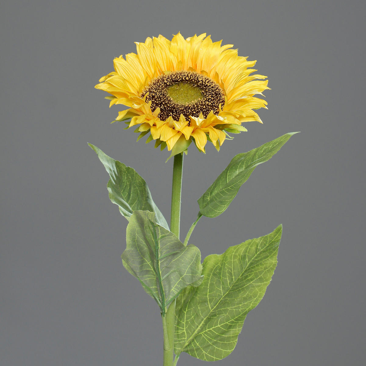 SONNENBLUME - Gelb/Grün, Basics, Kunststoff/Textil (78cm)