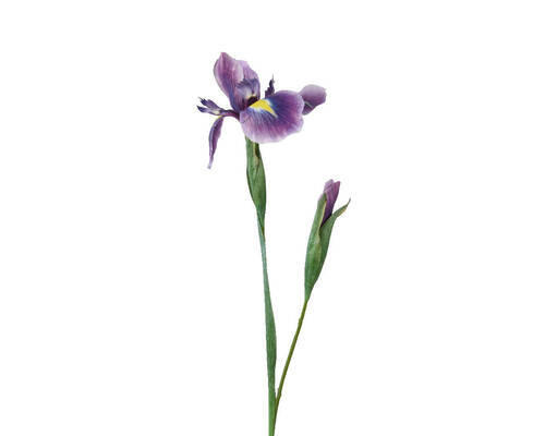 FLOARE DECORATIVĂ 804380 - Basics (10/10/78cm)