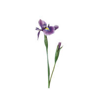 FLOARE DECORATIVĂ - Basics (10/10/78cm)