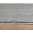 HOCHFLORTEPPICH 80/150 cm Catwalk Silberfarben  - Silberfarben, Basics, Textil (80/150cm) - Novel