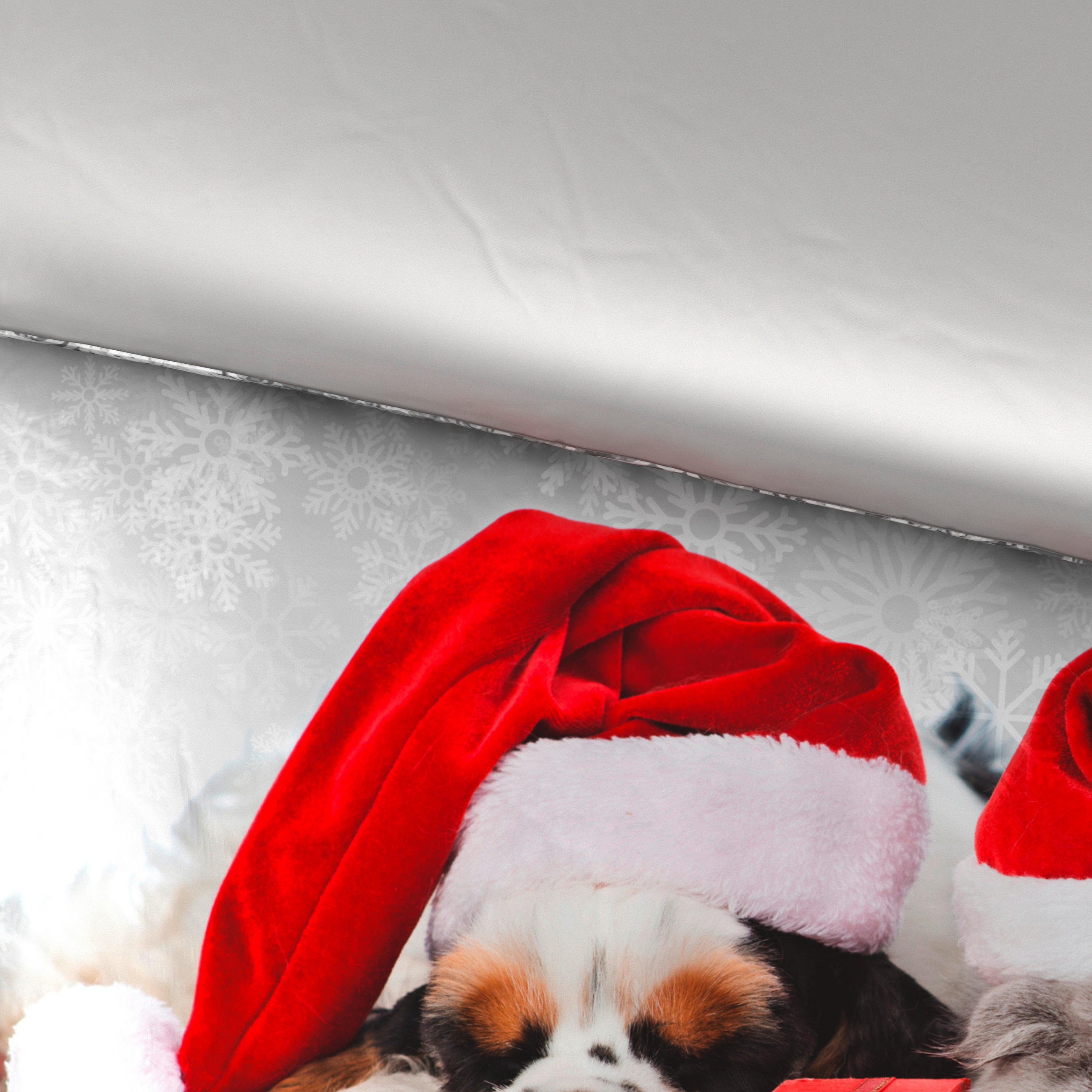 POSTELJINA SA DVA LICA DOZY 140/200 cm saten siva, crvena  - siva/crvena, Osnovno, tekstil (140/200cm) - X-Mas