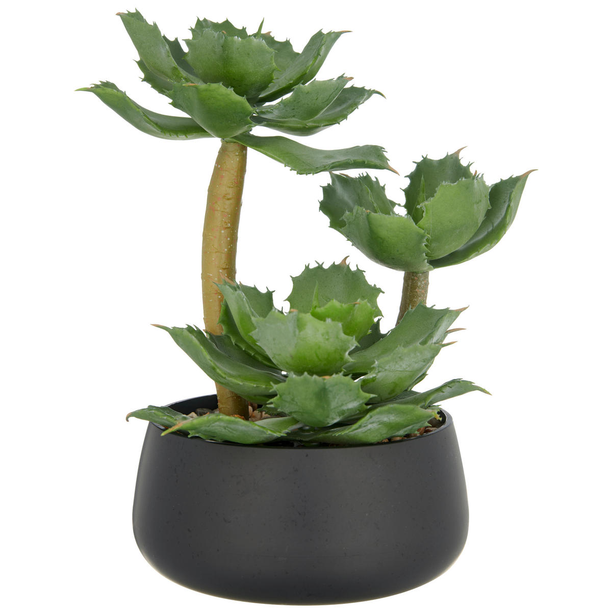 KUNSTPFLANZE 28 cm  - Schwarz/Grün, Basics, Kunststoff (28cm) - P & B