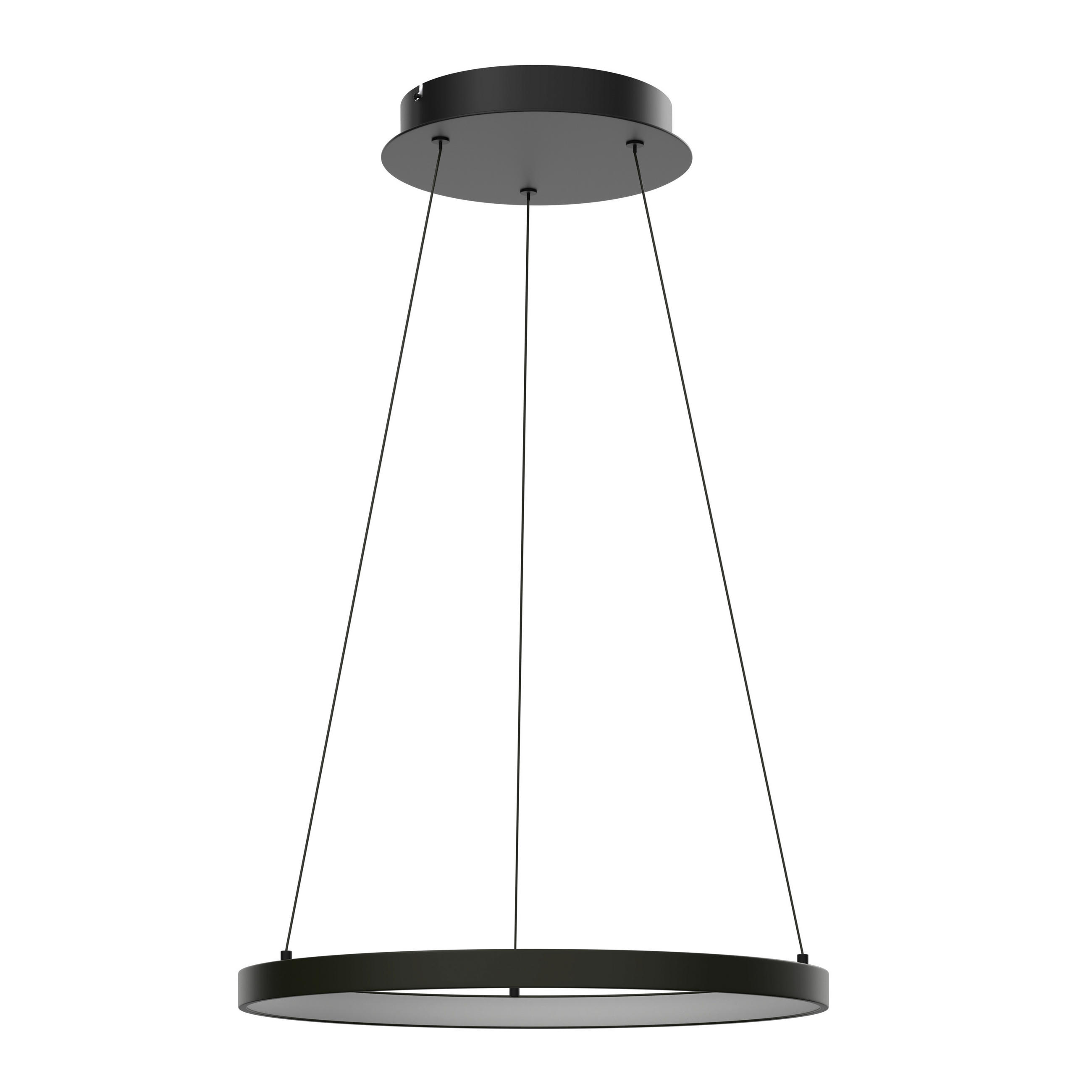 Paul Neuhaus Led-Hängeleuchte Hoop Schwarz 57x40-180x57 cm
