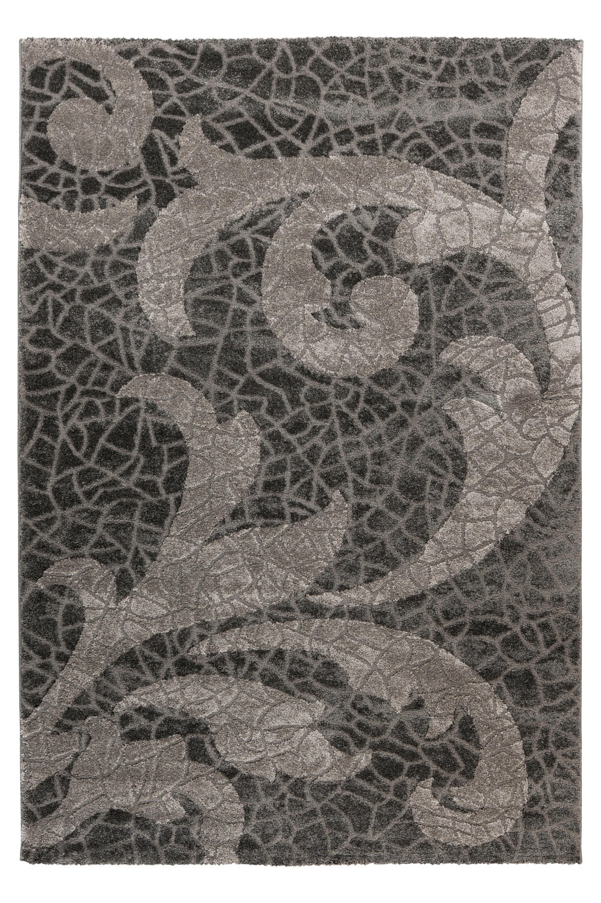Obsession Flachwebeteppich My Frisco Anthrazit 240x330 cm