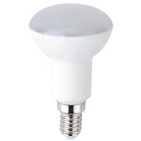 LED SIJALICA - Osnovno (5/9cm)