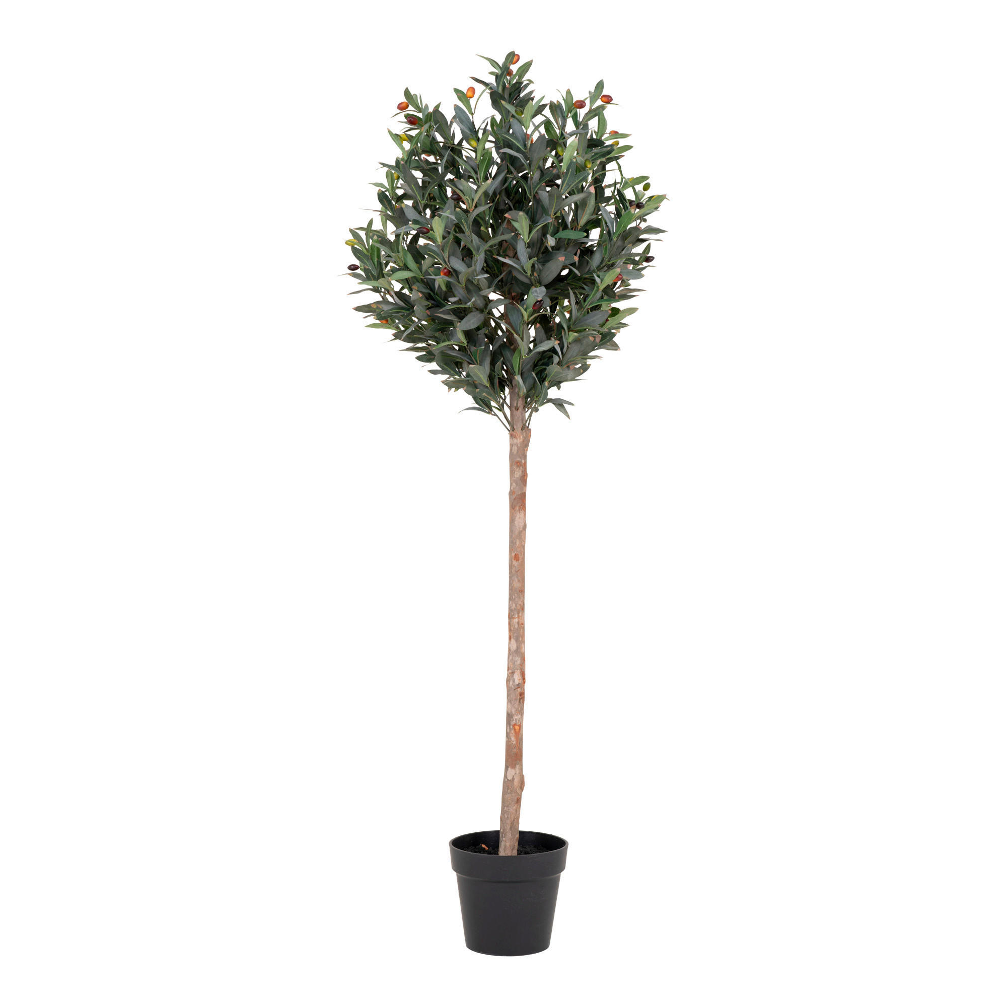 KUNSTPFLANZE Olive 150 cm  - Hellbraun/Schwarz, Basics, Kunststoff (150cm)