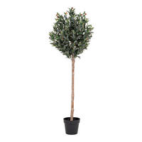 KUNSTPFLANZE Olive 150 cm  - Hellbraun/Schwarz, Basics, Kunststoff (150cm)