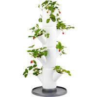 PFLANZENTOPF Weiß  - Weiß, Basics, Kunststoff (32/77cm) - Gusta Garden
