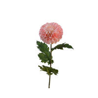 FLOARE DECORATIVĂ - Basics (10/75cm)