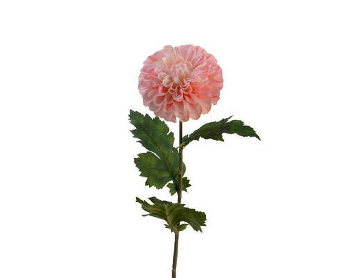 FLOARE DECORATIVĂ - Basics (10/75cm)