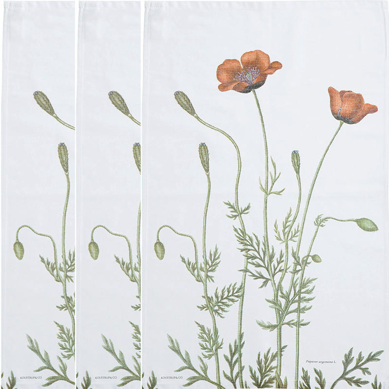 Thumbnail - Geschirrtuch-Set Prickly Poppy, Rot, Textil, 3-teilig, Blume, 50x70 cm, Kochen, Geschirrtücher & Schürzen, Geschirrtüche...
