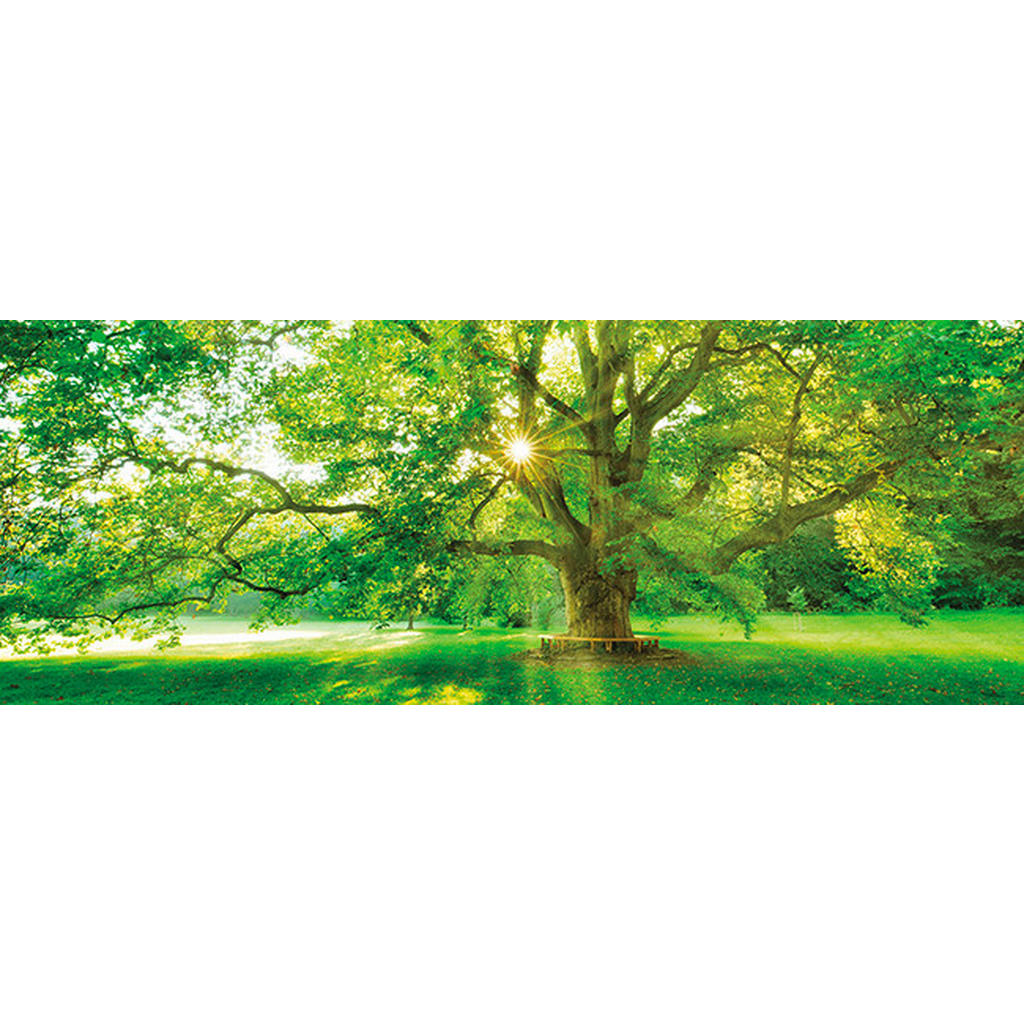 Euroart OBRAZ NA SKLE, stromy, 30/80/1,40 cm - vícebarevná