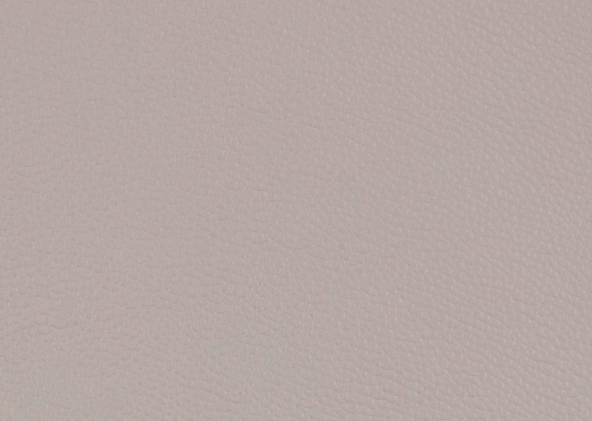 RELAXLIEGE in Echtleder Hellgrau  - Hellgrau/Schwarz, Design, Leder/Metall (120/54-113/158-198cm) - Pure Home Lifestyle