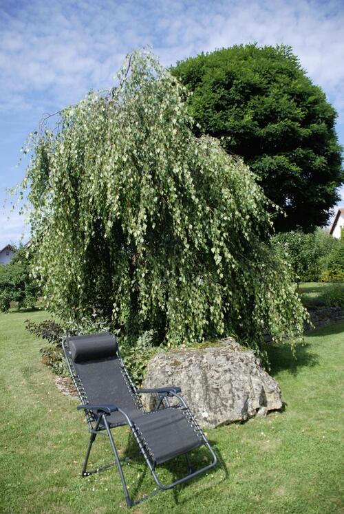 GARTEN-RELAXSESSEL Stahl  - Anthrazit, KONVENTIONELL, Kunststoff/Textil (67/120/67cm)